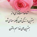 Profile picture of ‌سید موسوی‌