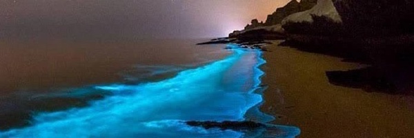 ‌نمیدانم ، اطلاعی ندارم.‌'s header picture