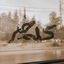 Profile picture of ‌شیرین‌