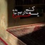 Profile picture of ‌امیر محمد .‌