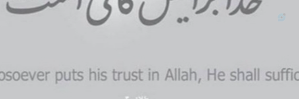 ‌سید موسوی‌'s header picture