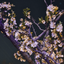 Profile picture of ‌نرگس جهان گشته‌