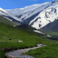 Profile picture of ‌ماهورالزهرا‌