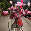 Profile picture of ‌یکتا وفا‌