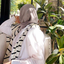 Profile picture of ‌نا گویا(مرگ براسرائیل‌