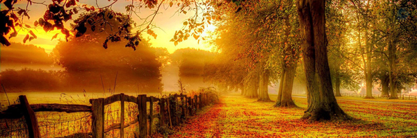 ‌Manshoor Basirat(فالو=فالو)‌'s header picture