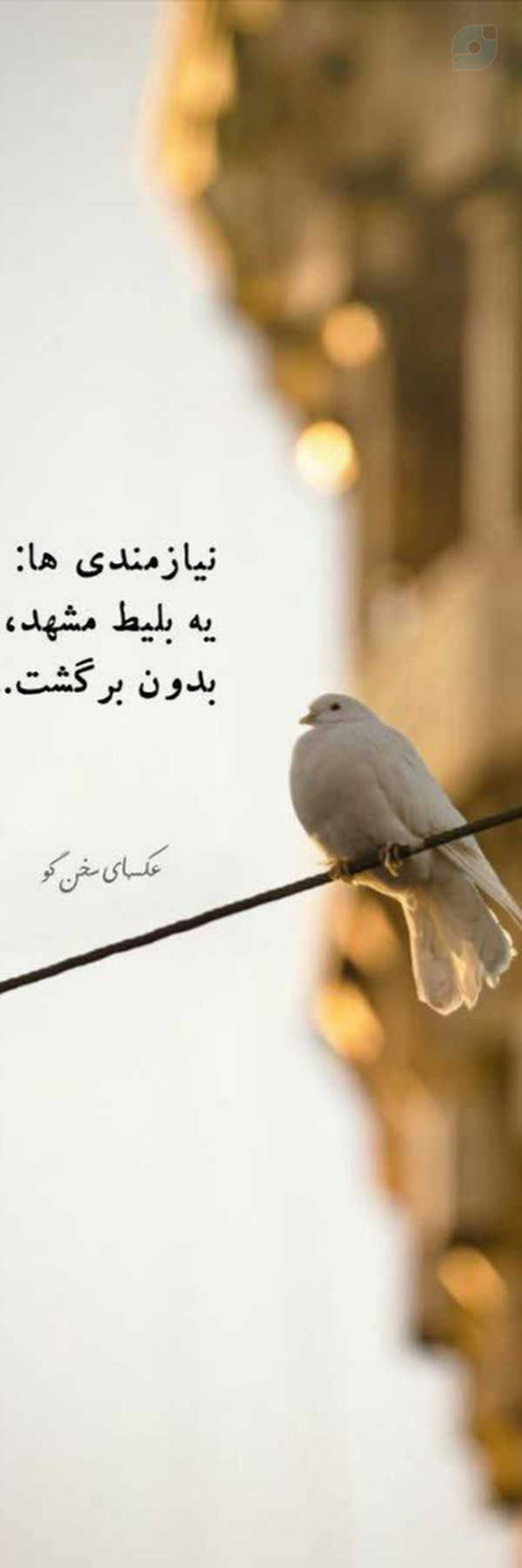 ‌محمد Ch‌'s header picture