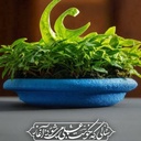 Profile picture of ‌یا زینب‌