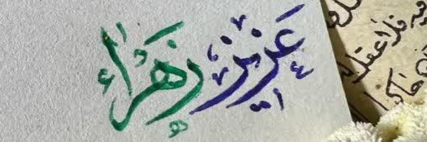 ‌S Heidari‌'s header picture