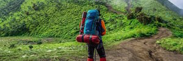 ‌رشید داودی‌'s header picture