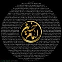 Profile picture of ‌سید امید‌