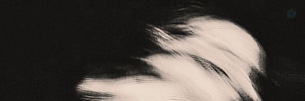 ‌فلک زده‌'s header picture