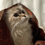 Profile picture of ‌𝑺𝒂𝒉𝒆𝒍‌