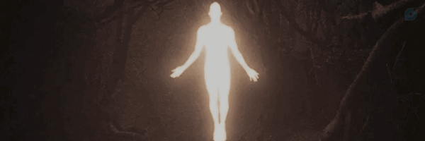 ‌Lisa 21‌'s header picture