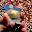 Profile picture of ‌دلتنگ مشهد 🥺‌