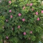 Profile picture of ‌user1748160330705235746 S‌