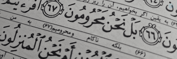 ‌آمهدی‌'s header picture