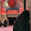 Profile picture of ‌Hoda Sadat / محدود‌
