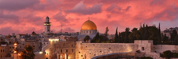 ‌حميدرضا غریب رضا‌'s header picture