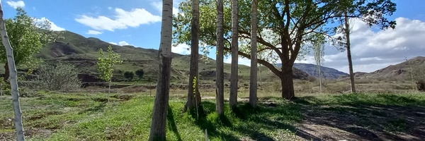 ‌یاسین لطفی‌'s header picture