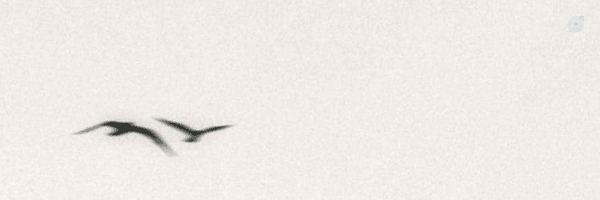 ‌گاه‌نوشته‌های خوانده‌نشده‌'s header picture