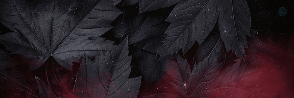 ‌🌟ATENA🚩‌'s header picture