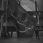 Profile picture of ‌امیرعلی میثاقی‌
