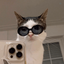 Profile picture of ‌New User‌