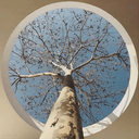 Profile picture of ‌Nima‌