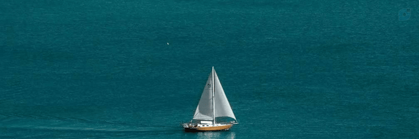 ‌دیوآنه فیروزه ای🪐‌'s header picture