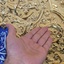 Profile picture of ‌حمیدرضا قربانی فرد‌