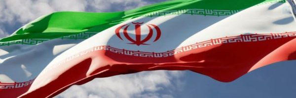 ‌گل نرگس‌'s header picture
