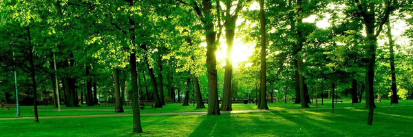 ‌روح الله وصال‌'s header picture