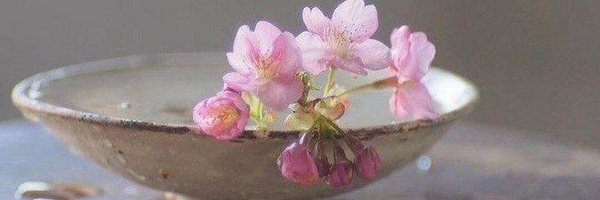 ‌فَتّاحی‌'s header picture