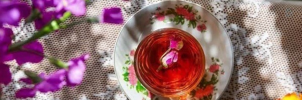 ‌گل بانو‌'s header picture