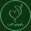 Profile picture of ‌رضوان طب‌