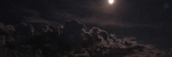 ‌naz‌'s header picture