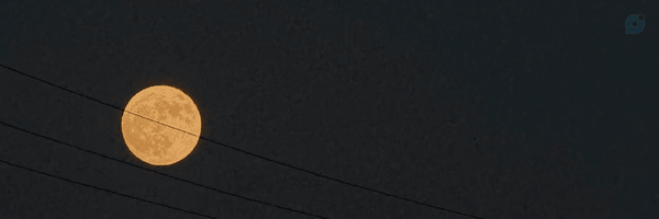 ‌Me. Ř‌'s header picture