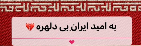‌گل زیبا‌'s header picture