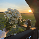 Profile picture of ‌زهرا بهمنی‌