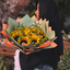 Profile picture of ‌نون کاف‌