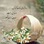 Profile picture of ‌بانوی ایرانی‌