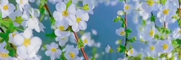‌H.A.M.I.1‌'s header picture