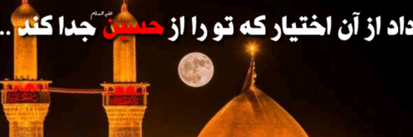 ‌رفیـقِ بی ضَـرَر‌'s header picture
