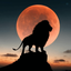 Profile picture of ‌سورا نوری‌