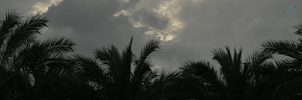 ‌Mr.SAD‌'s header picture