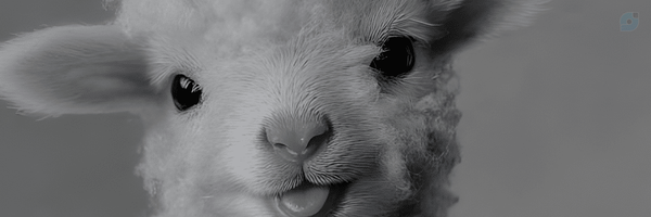 ‌آق ابوالفضل‌'s header picture