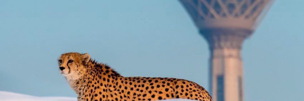‌صادق میروهابی‌'s header picture