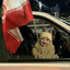 Profile picture of ‌سِـدنا 🇱🇧‌