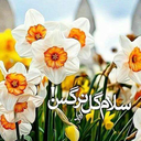 Profile picture of ‌محبوبه سالاری‌